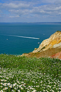 Alum Bay from West High Down von Rod Johnson