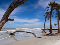 Hunting Island Beach by Louise Heusinkveld