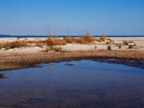 Port Royal Beach by Louise Heusinkveld