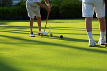 A Game of Croquet von Louise Heusinkveld