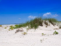 Sand Dune and Sea Oats von Louise Heusinkveld