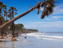 The beach at Hunting Island State Park, South Carolina von Louise Heusinkveld