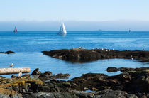 Fog Bank in the Strait of Juan de Fuca von Louise Heusinkveld