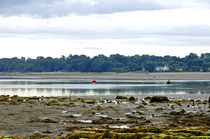 St Helens Beach to Bembridge Point von Rod Johnson