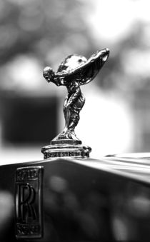 Spirit of Ecstasy von Andreas Birkholz