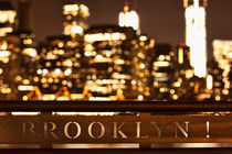 Brooklyn Bubbly by Andrew Paranavitana