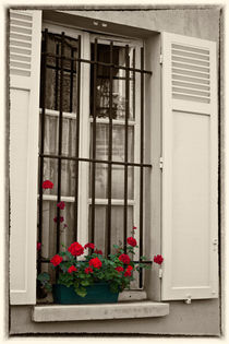 Window box in Paris by Sheila Smart