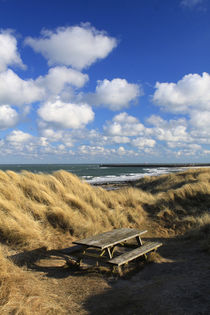 Ostseeküste in Dänemark 07 by Karina Baumgart