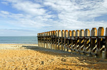 Ventnor Beach Groyne von Rod Johnson