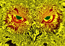 Hold the owls gaze by Leopold Brix