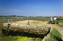 Taking In The View, from Newtown Quay von Rod Johnson