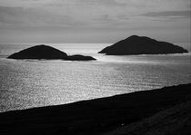 Deenish and Scariff Islands von Aidan Moran
