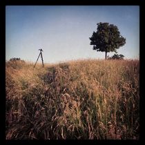 Tripod von Azzurra Di Pietro