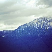 Swiss Alps by Bianca Baker