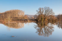 Hochwasser 14 by Erhard Hess