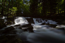 Selkefall von Andreas Levi