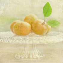 Organic Mandarins by Linde Townsend