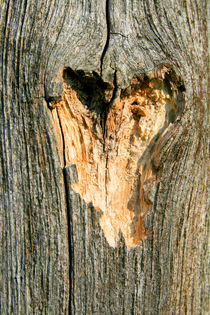 Wooden Heart by Heidrun Lutz