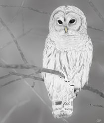 Snowy Owl von Melissa King