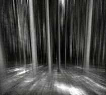 Moving Forest B&W von florin