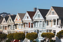 painted ladies by meleah