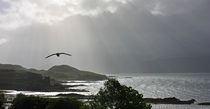 impressions of scotland - into the light von meleah