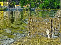 Donauufer Passau Altstadt aq digi von badauarts