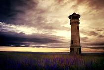 Observation Tower by marunga