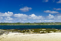 Korallen Strand von Carraroe von Karsten Müller