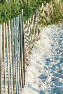 beach fence von digidreamgrafix