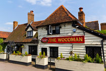 The Woodman Pub by David Pyatt