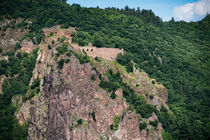 Burg Rheingrafenstein von Erhard Hess