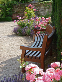 Rose Garden - Oase der Ruhe im Rosengarten von Eva-Maria Di Bella