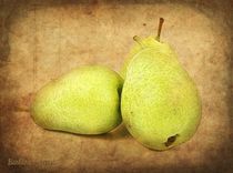 Pears by barbara orenya