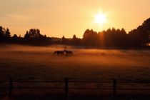 Pferde im Sonnenaufgang von Bastian Altenburg