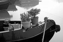 Frosty On Board Garden, Shobnall Marina by Rod Johnson