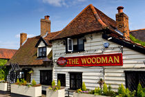 The Woodman Pub by David Pyatt