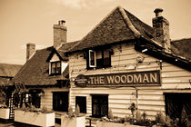 The Woodman Pub by David Pyatt