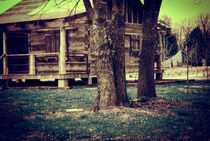 Barn and Tree in Infrared by Melanie Mayne