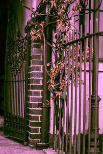 Beautiful Gate in Infrared by Melanie Mayne