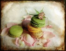 French macarons von barbara orenya