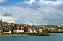 Tate Hill Pier and The Shambles, Whitby von Rod Johnson