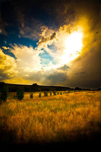 Red bench Golden Clouds von Isabel  Laurent