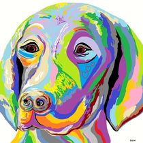 WEIMARANER by eloiseart