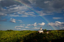 Burg Falkenstein im Harz mit Regenbogen von Daniel Kühne