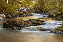 Fluss im Herbst Selke im Harz by Daniel Kühne