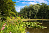 Schlüsselsee Schaichtal Naturpark Schönbuch von Matthias Hauser