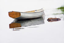 White Boat on a Misty Morning by Randall Nyhof