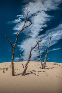 Cirrus Clouds with Dead Trees at Silver Lake Dunes von Randall Nyhof