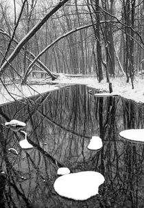 Winter Woodland Stream in a Snowstorm by Randall Nyhof